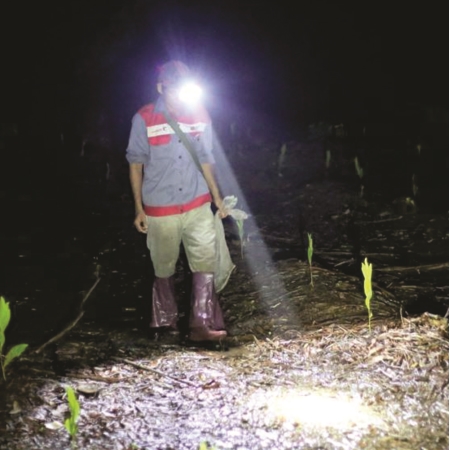 ĐÈN PIN ĐỘI ĐẦU (DSE106)