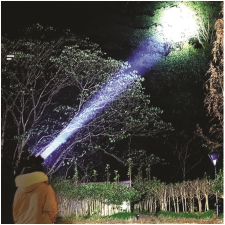 ĐÈN PIN ĐỘI ĐẦU (DSE106)