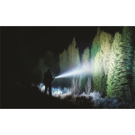 ĐÈN PIN LED (DSE108)