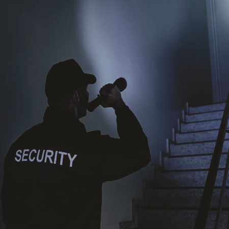 ĐÈN PIN LED (DSE109)