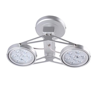 ĐÈN LED CHIẾU ĐIỂM 2x9W (SAIC801)