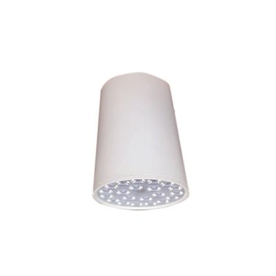 ĐÈN LED CHIẾU SÂU GẮN NỔI TRANG TRÍ 18W (DIB1153)