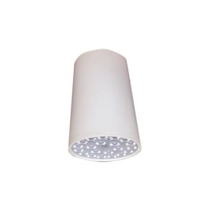ĐÈN LED CHIẾU SÂU GẮN NỔI TRANG TRÍ 12W (DIB2093)