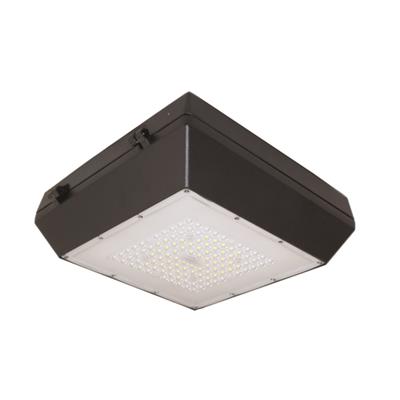 Đèn Pha Led Ốp Trần 30W (DRG0301)