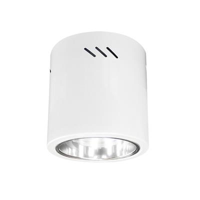 ĐÈN DOWNLIGHT GẮN NỔI (LGN 6)
